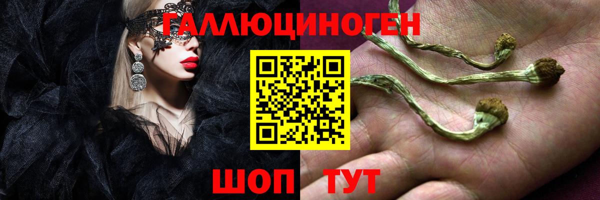 Уссурийск  Галлюциногенные грибы Psilocybe  Вход с VPN  Псилоцибиновые грибы мухоморы 